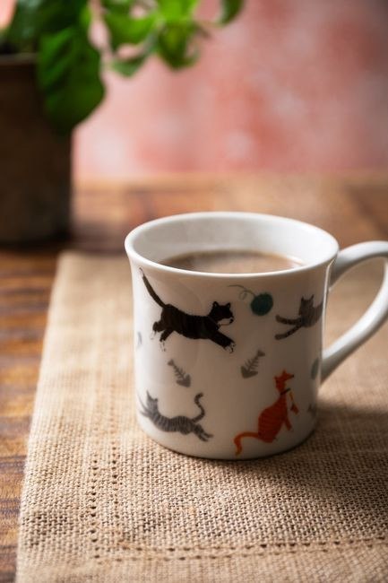 Mikasa Ryflowane Koty — kubek porcelanowy 250 ml
